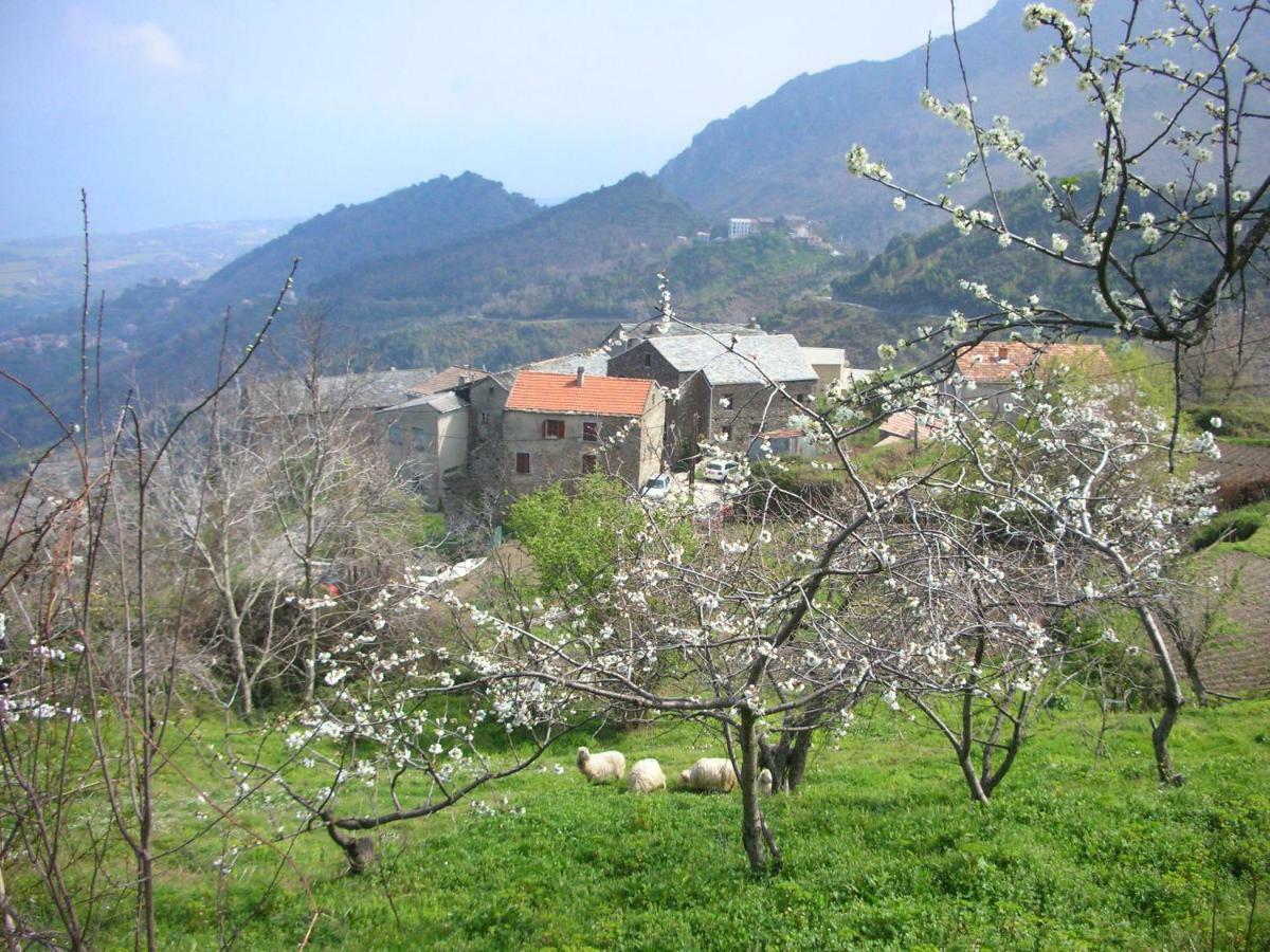 Апартаменты Sole E Ventu 30Qm Сан-Джованни-ди-Мориани Экстерьер фото
